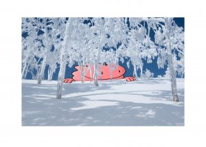 Finding Tree Runs - Canvas Print