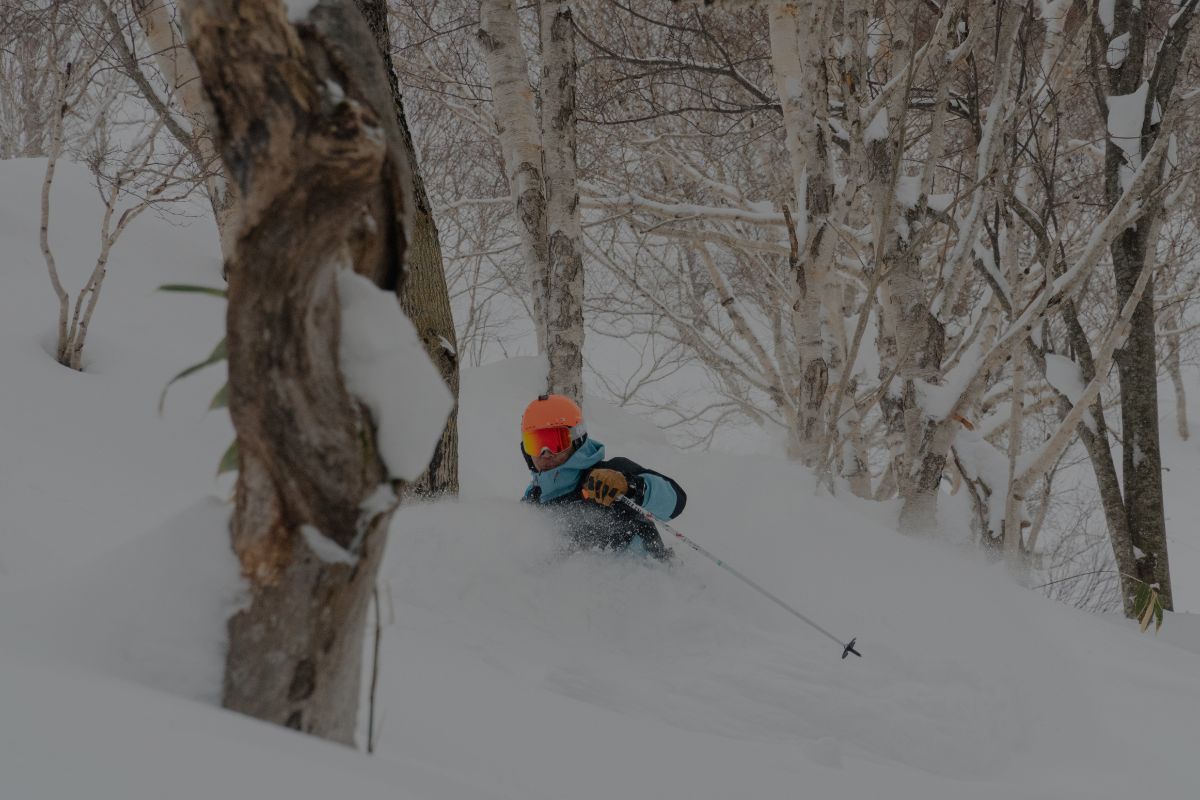 Niseko’s Backcountry Gates – The Worst Kept Secret In Skiing