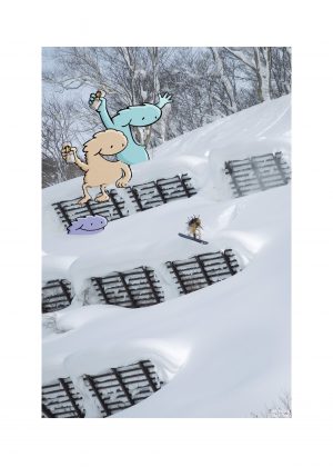 The Drop - Canvas Print