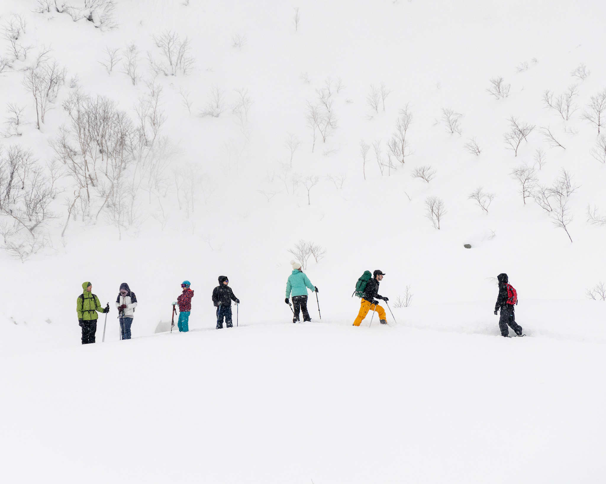 Guests on the Backcountry Snowshoe Tour crossing deep powder near Niseko