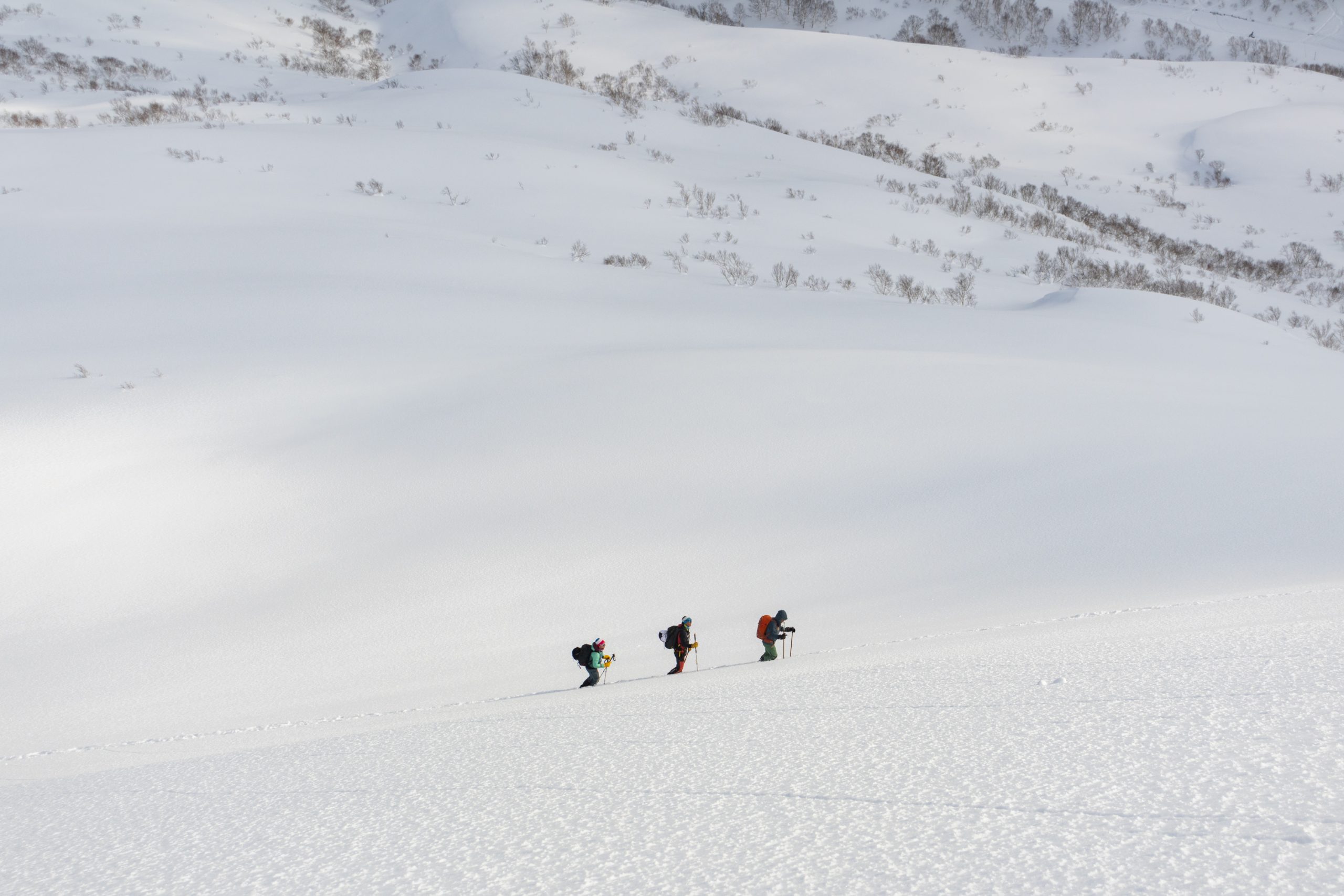 Three ski tourers skinning up an open slope near Niseko