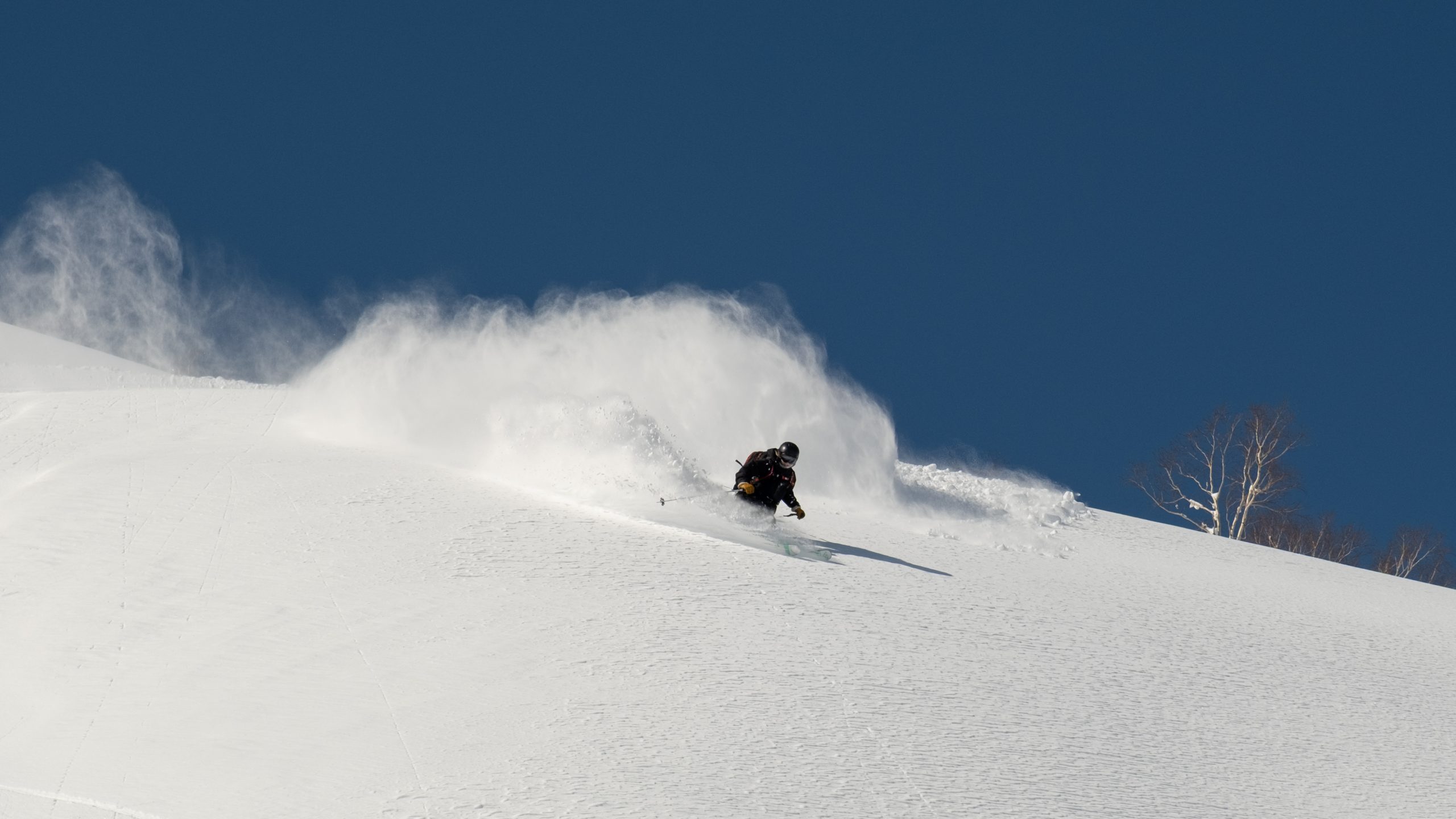 Skier turning through fresh snow under a deep blue Hokkaido sky