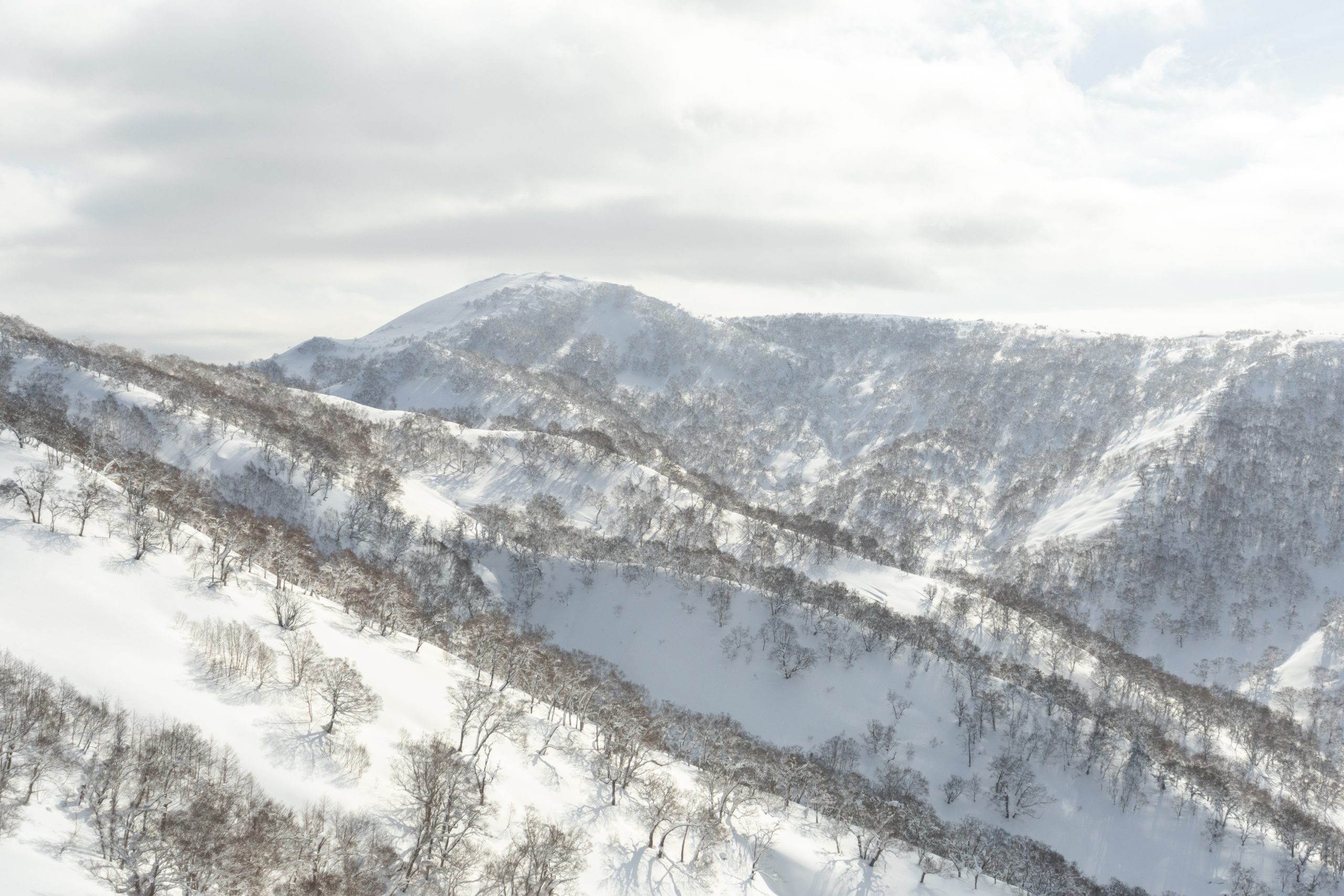 Rider on open powder terrain in the Niseko backcountry