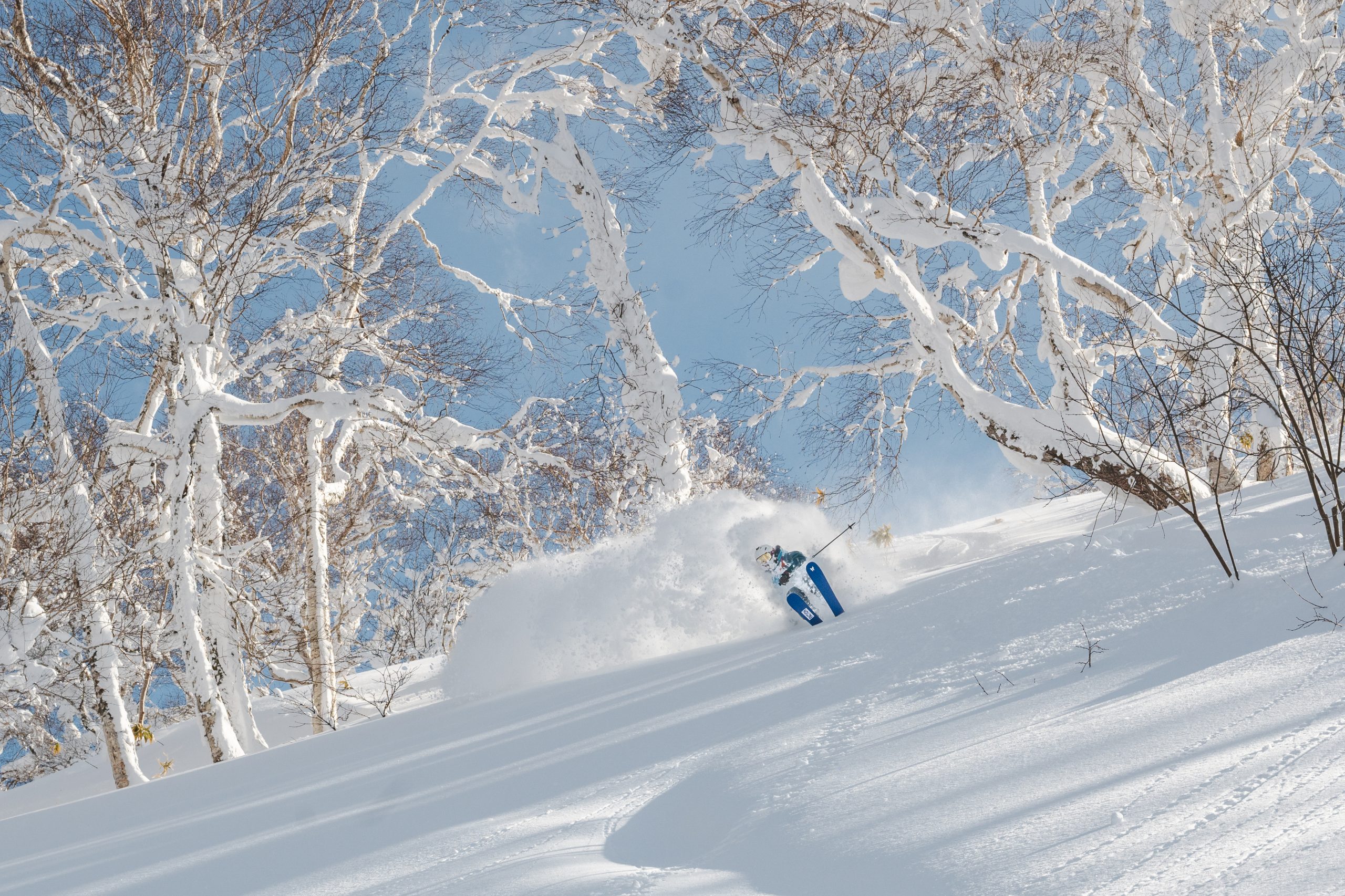 Multi-resort powder chase Hokkaido Japan