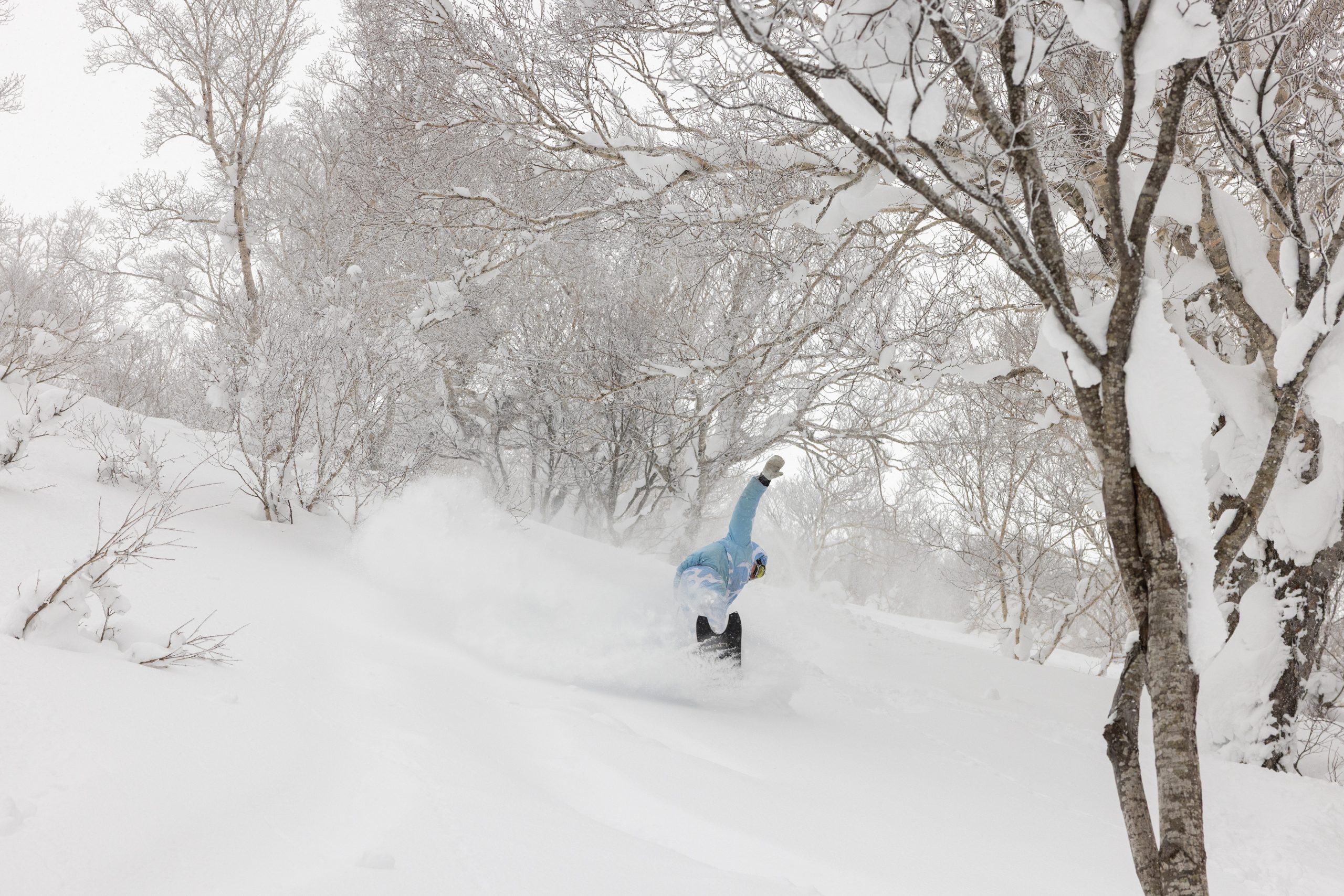 Snowboarder riding fresh tracks in the Niseko backcountry