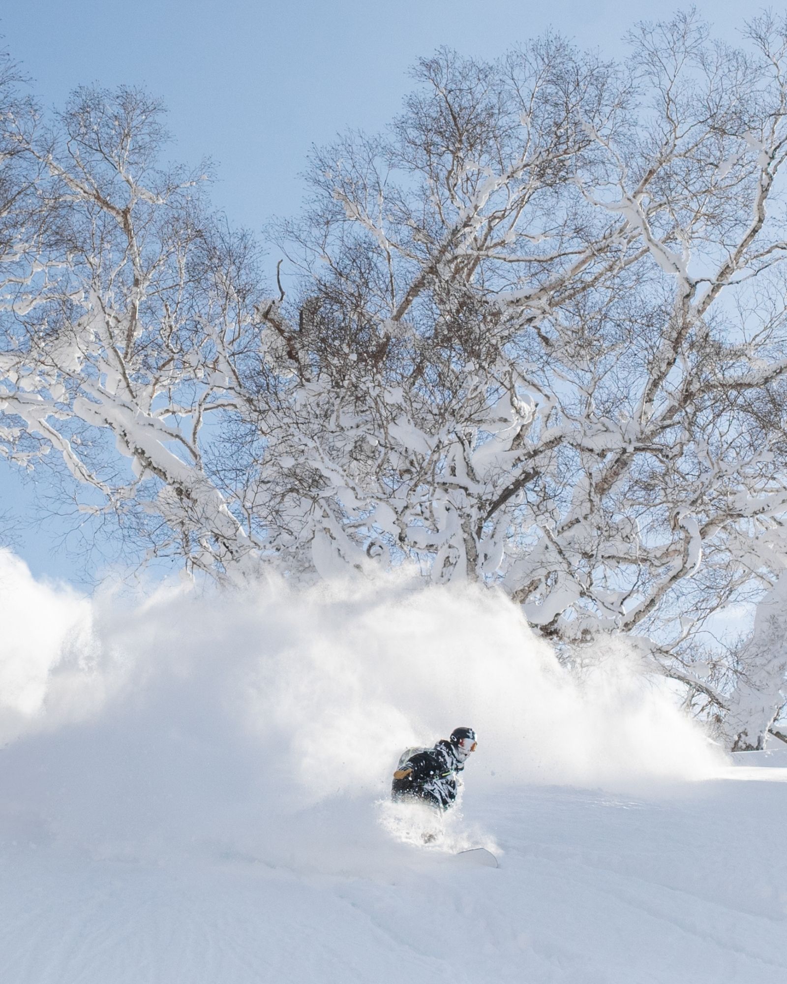 Snowmobile-accessed backcountry skiing in deep Niseko powder