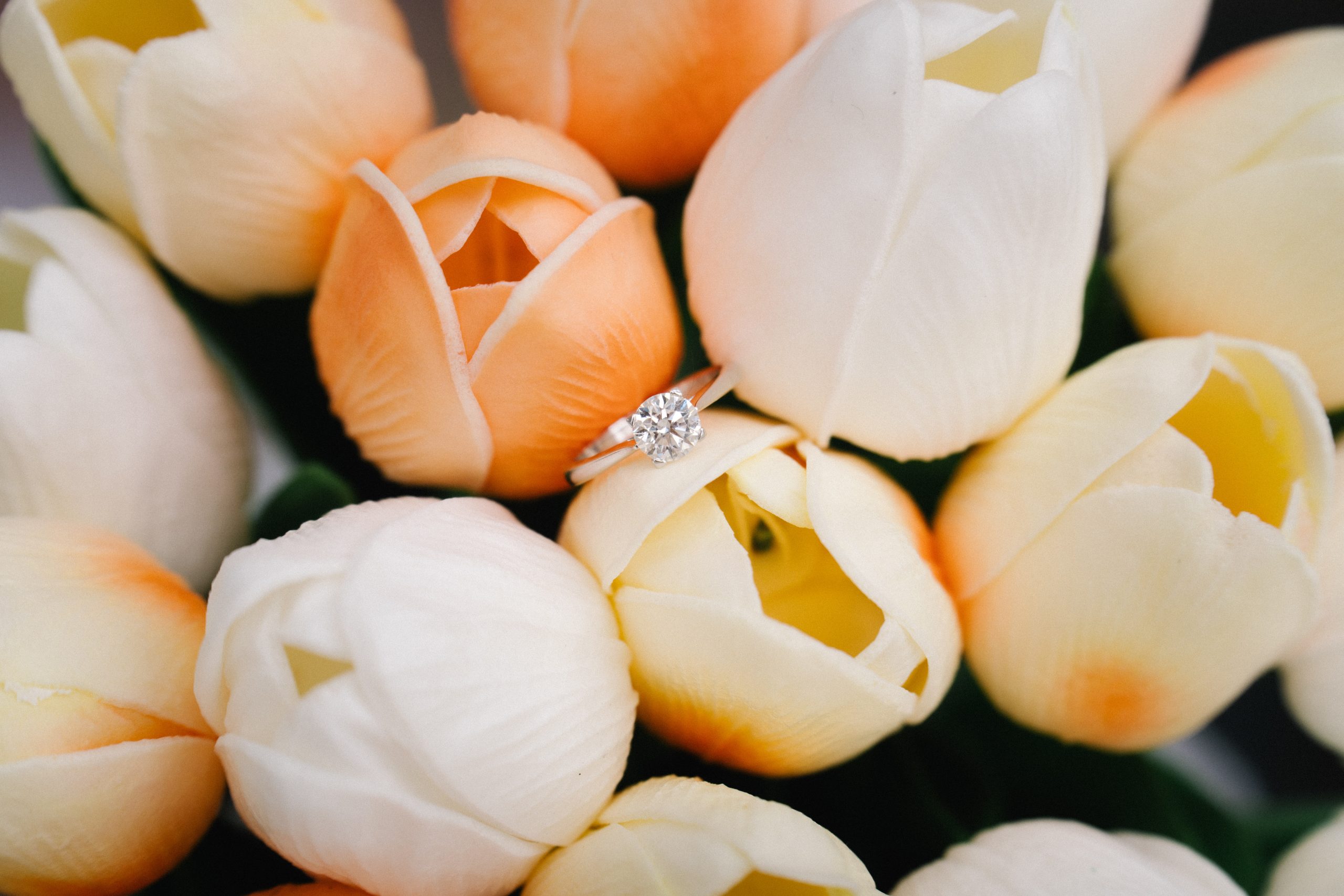 Close-up of a bouquet of peach and white tulips